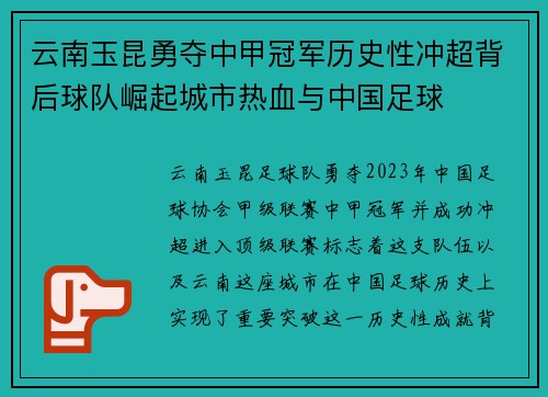 云南玉昆勇夺中甲冠军历史性冲超背后球队崛起城市热血与中国足球 云南玉昆勇夺中甲冠军历史性冲超背后球队崛起城市热血与中国足球
